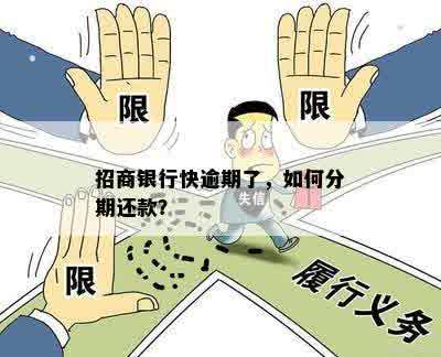 招商银行快逾期了，如何分期还款？