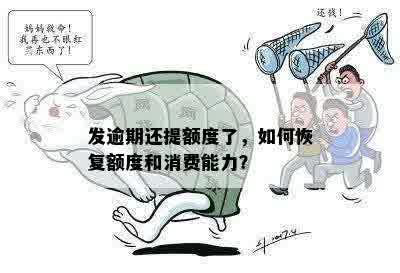 发逾期还提额度了，如何恢复额度和消费能力？