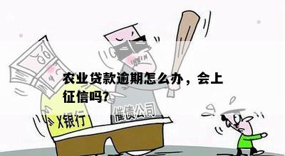 农业贷款逾期怎么办，会上征信吗？