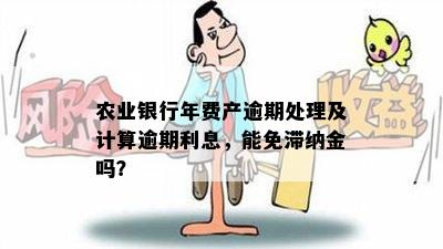 农业银行年费产逾期处理及计算逾期利息，能免滞纳金吗？