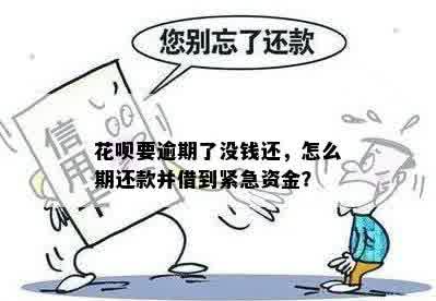 花呗要逾期了没钱还，怎么期还款并借到紧急资金？