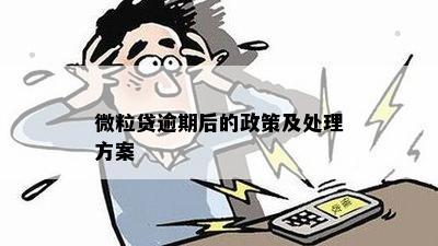 微粒贷逾期后的政策及处理方案