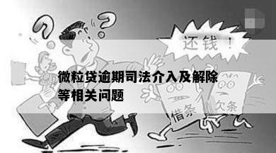 微粒贷逾期司法介入及解除等相关问题