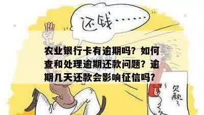 农业银行卡有逾期吗？如何查和处理逾期还款问题？逾期几天还款会影响征信吗？