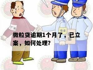 微粒贷逾期1个月了，已立案，如何处理？