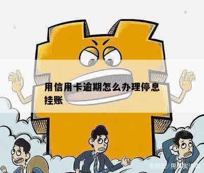 用信用卡逾期怎么办理停息挂账