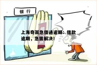 上海奇赢急借通逾期：借款逾期，急需解决！