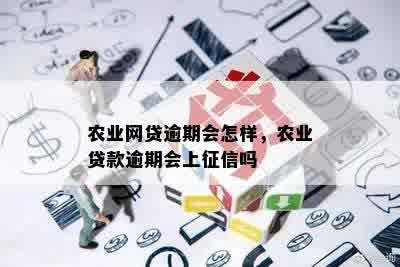 农业网贷逾期会怎样，农业贷款逾期会上征信吗