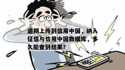 逾期上传到信用中国，纳入征信与信用中国数据库，多久能查到结果？