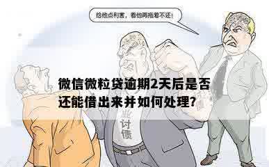 微信微粒贷逾期2天后是否还能借出来并如何处理？