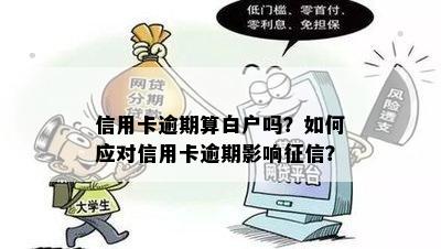 信用卡逾期算白户吗？如何应对信用卡逾期影响征信？