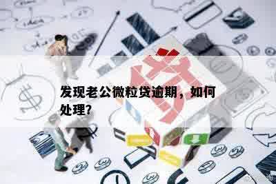 发现老公微粒贷逾期，如何处理？