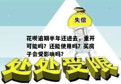 花呗逾期半年还进去，重开可能吗？还能使用吗？买房子会受影响吗？