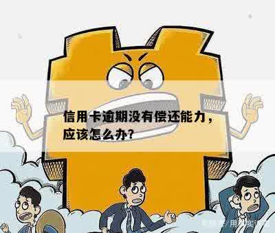 信用卡逾期没有偿还能力，应该怎么办？