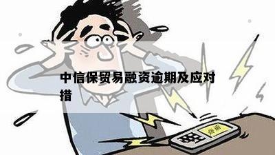 中信保贸易融资逾期及应对措