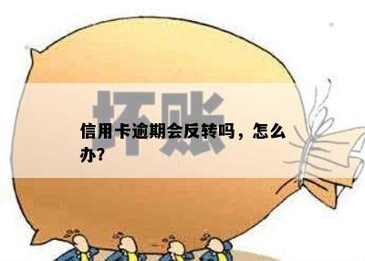 信用卡逾期会反转吗，怎么办？