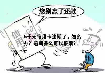 6千元信用卡逾期了，怎么办？逾期多久可以报案？