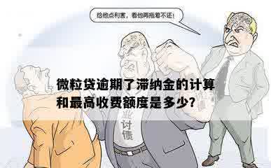 微粒贷逾期了滞纳金的计算和更高收费额度是多少？