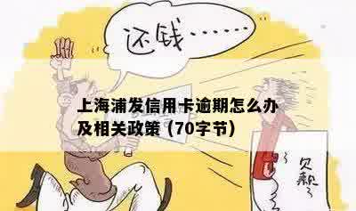 上海浦发信用卡逾期怎么办及相关政策 (70字节)