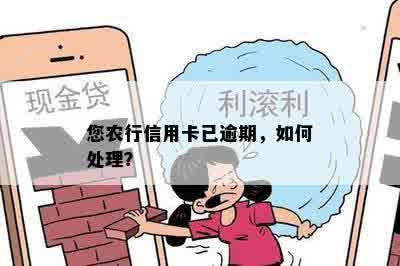 您农行信用卡已逾期，如何处理？