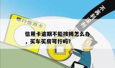 信用卡逾期不能按揭怎么办，买车买房可行吗？