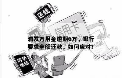 浦发万用金逾期6万，银行要求全额还款，如何应对？