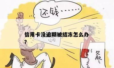 信用卡没逾期被结冻怎么办？