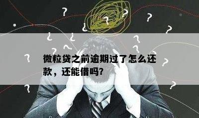 微粒贷之前逾期过了怎么还款，还能借吗？