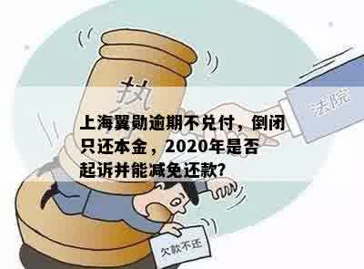 上海翼勋逾期不兑付，倒闭只还本金，2020年是否起诉并能减免还款？