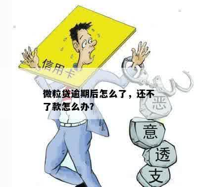 微粒贷逾期后怎么了，还不了款怎么办？