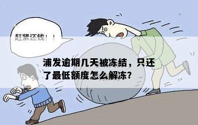 浦发逾期几天被冻结，只还了更低额度怎么解冻？