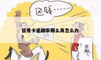 信用卡逾期率那么高怎么办？