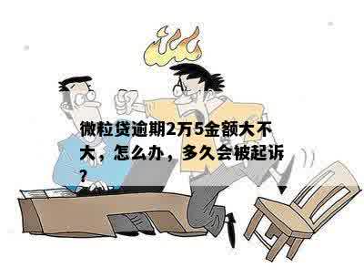 微粒贷逾期2万5金额大不大，怎么办，多久会被起诉？