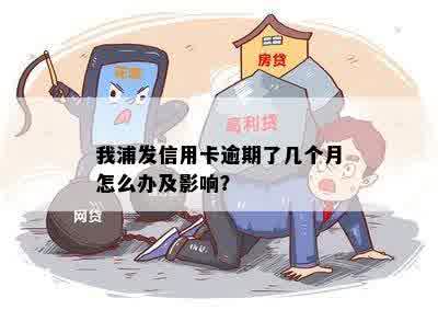 我浦发信用卡逾期了几个月怎么办及影响？