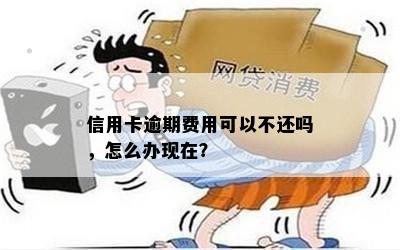 信用卡逾期费用可以不还吗，怎么办现在？