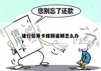 建行信用卡提额逾期怎么办？