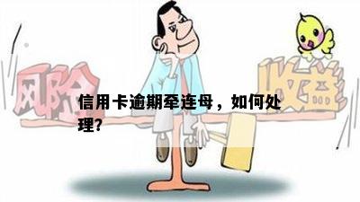 信用卡逾期牵连母，如何处理？