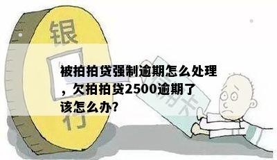 被拍拍贷强制逾期怎么处理，欠拍拍贷2500逾期了该怎么办？