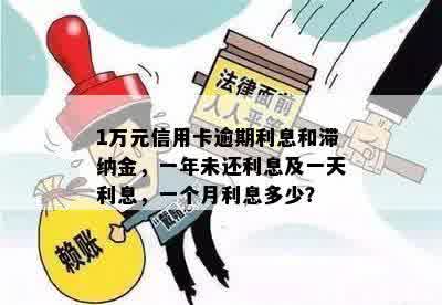 1万元信用卡逾期利息和滞纳金，一年未还利息及一天利息，一个月利息多少？