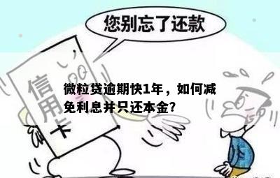 微粒贷逾期快1年，如何减免利息并只还本金？