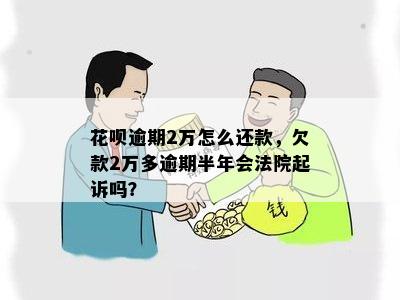 花呗逾期2万怎么还款，欠款2万多逾期半年会法院起诉吗？