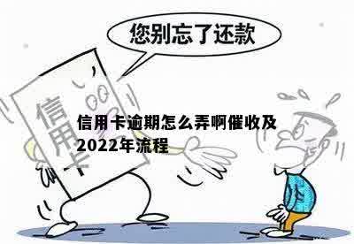 信用卡逾期怎么弄啊催收及2022年流程