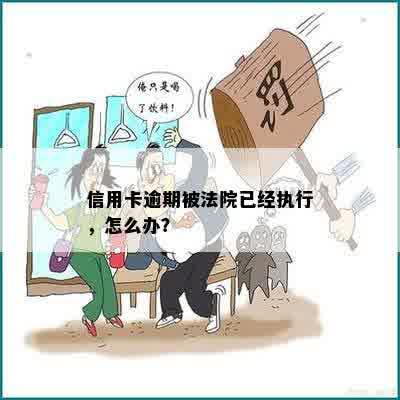 信用卡逾期被法院已经执行，怎么办？