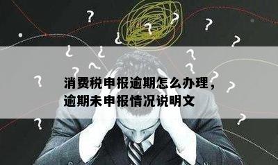 消费税申报逾期怎么办理，逾期未申报情况说明文