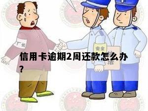 信用卡逾期2周还款怎么办？