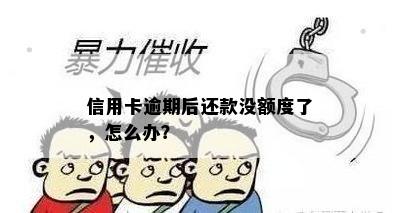 信用卡逾期后还款没额度了，怎么办？