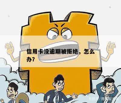 信用卡没逾期被拒绝，怎么办？