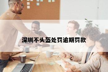 深圳不头盔处罚逾期罚款