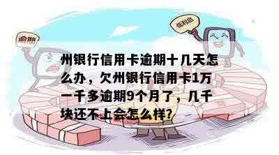 州银行信用卡逾期十几天怎么办，欠州银行信用卡1万一千多逾期9个月了，几千块还不上会怎么样？