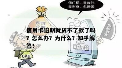 信用卡逾期就贷不了款了吗？怎么办？为什么？知乎解答！